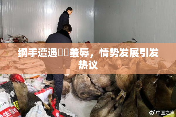 纲手遭遇❌‌羞辱，情势发展引发热议