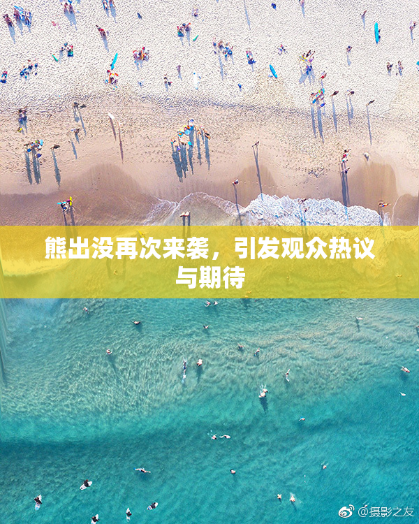熊出没再次来袭，引发观众热议与期待