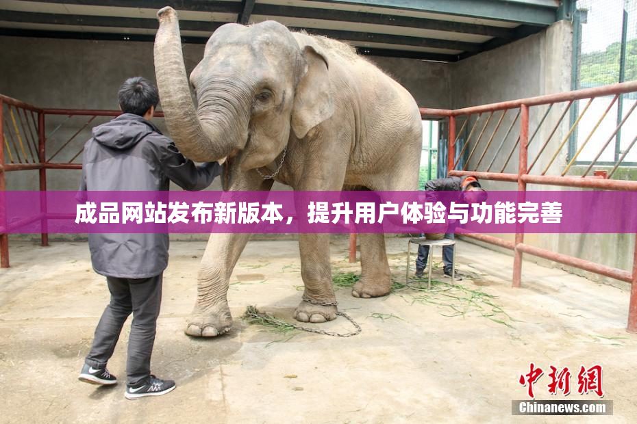 成品网站发布新版本，提升用户体验与功能完善