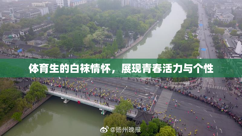 体育生的白袜情怀，展现青春活力与个性