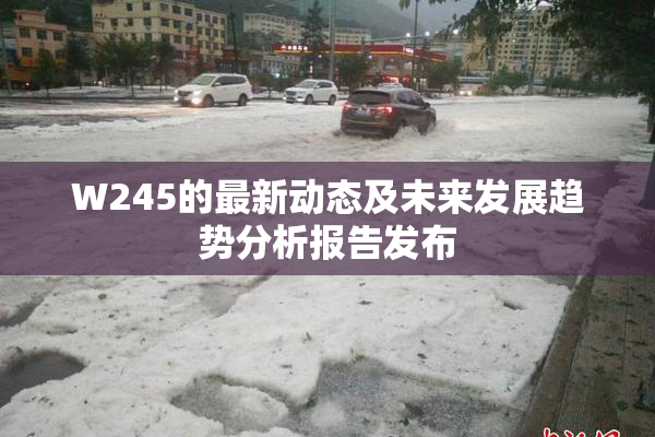 W245的最新动态及未来发展趋势分析报告发布
