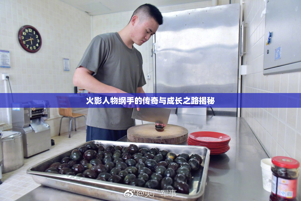 火影人物纲手的传奇与成长之路揭秘
