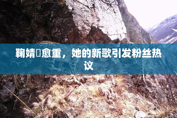 鞠婧祎愈重，她的新歌引发粉丝热议