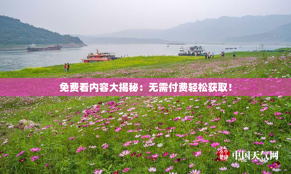 免费看内容大揭秘：无需付费轻松获取！