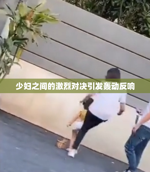 少妇之间的激烈对决引发轰动反响