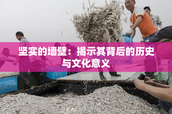 坚实的墙壁：揭示其背后的历史与文化意义