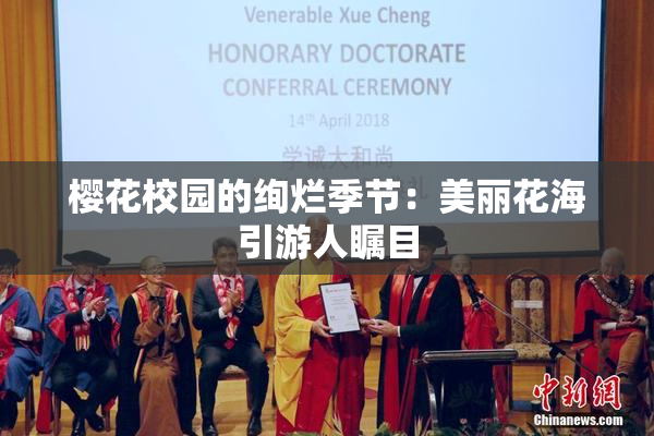 樱花校园的绚烂季节：美丽花海引游人瞩目