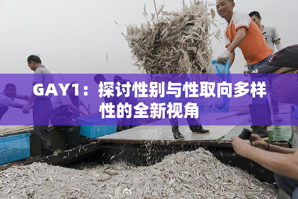 GAY1：探讨性别与性取向多样性的全新视角