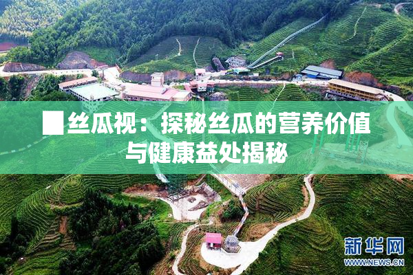 ▉丝瓜视：探秘丝瓜的营养价值与健康益处揭秘