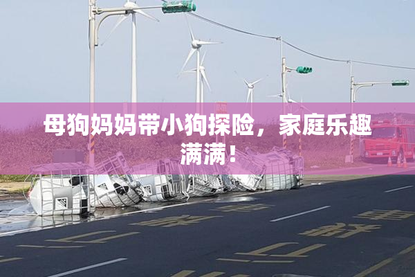 母狗妈妈带小狗探险，家庭乐趣满满！