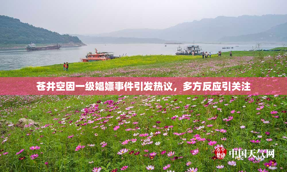 苍井空因一级娼嫖事件引发热议，多方反应引关注