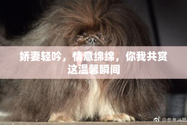 娇妻轻吟，情意绵绵，你我共赏这温馨瞬间