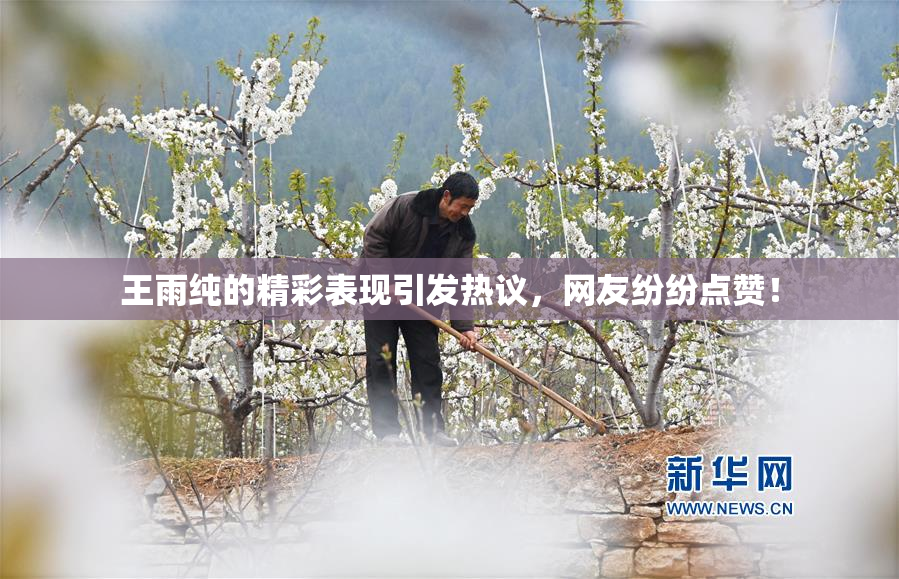 王雨纯的精彩表现引发热议，网友纷纷点赞！