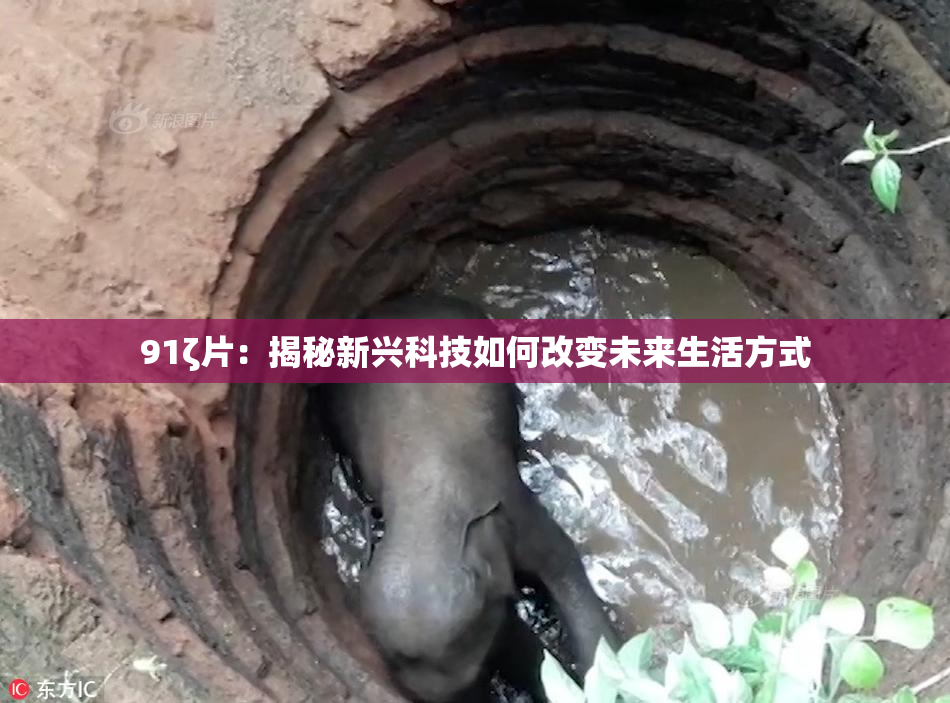 91ζ片：揭秘新兴科技如何改变未来生活方式