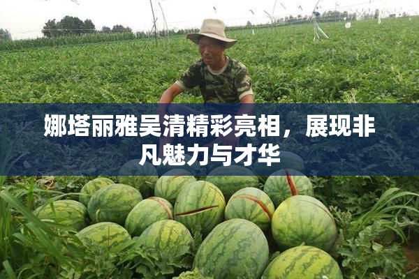 娜塔丽雅吴清精彩亮相，展现非凡魅力与才华