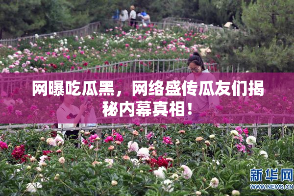 网曝吃瓜黑，网络盛传瓜友们揭秘内幕真相！