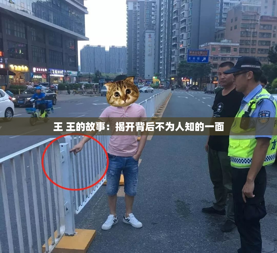 王 王的故事：揭开背后不为人知的一面