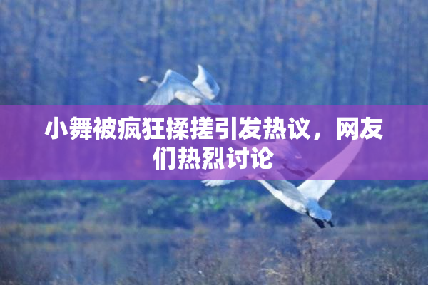 小舞被疯狂揉搓引发热议，网友们热烈讨论