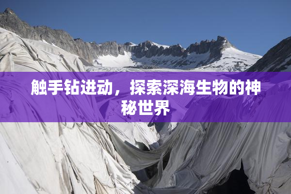 触手钻进动，探索深海生物的神秘世界