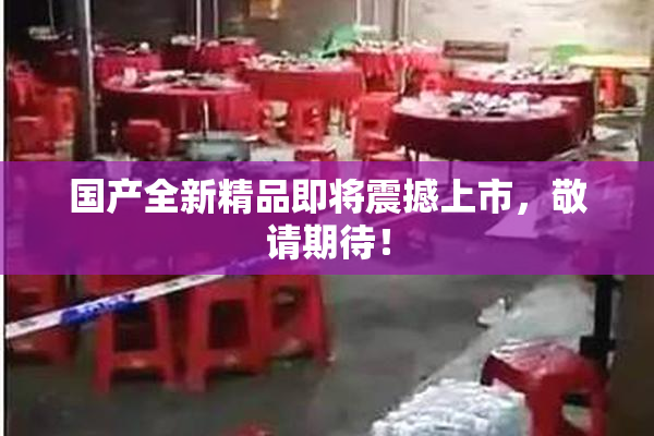 国产全新精品即将震撼上市，敬请期待！