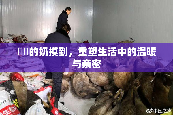妺妺的奶摸到，重塑生活中的温暖与亲密