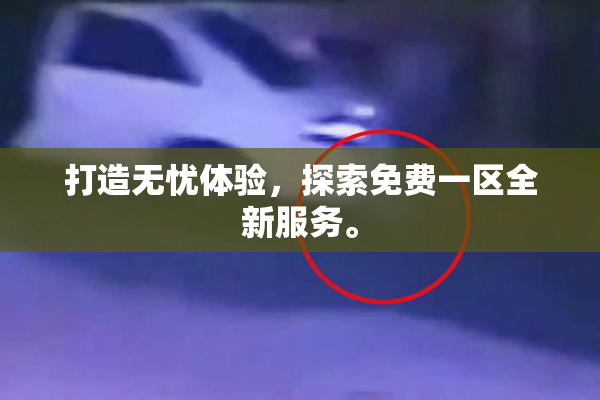 打造无忧体验，探索免费一区全新服务。