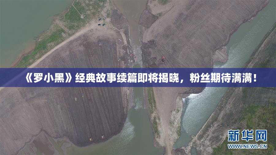 《罗小黑》经典故事续篇即将揭晓，粉丝期待满满！