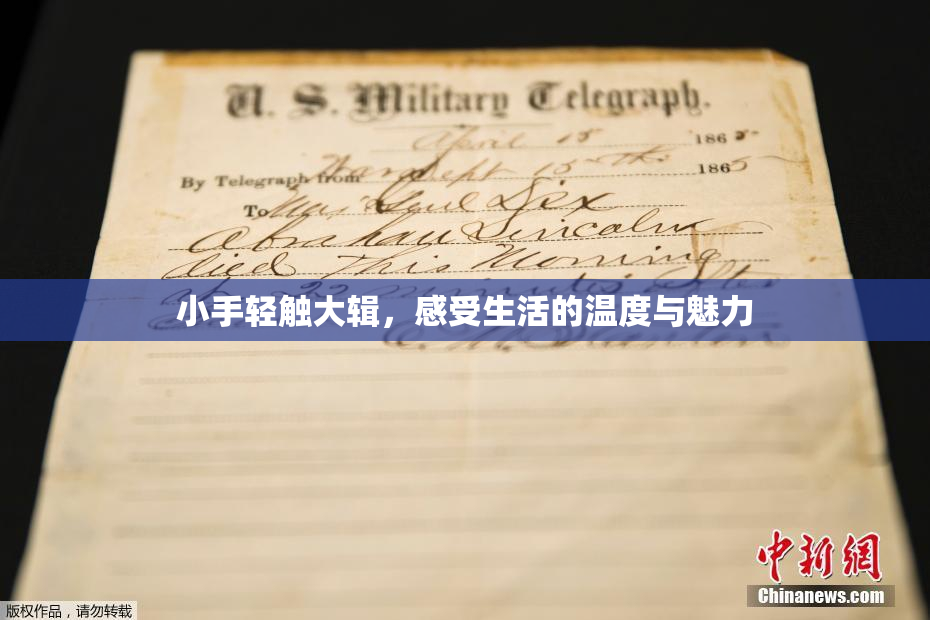 小手轻触大辑，感受生活的温度与魅力