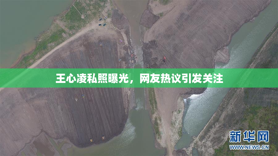 王心凌私照曝光，网友热议引发关注