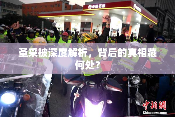 圣采被深度解析，背后的真相藏何处？