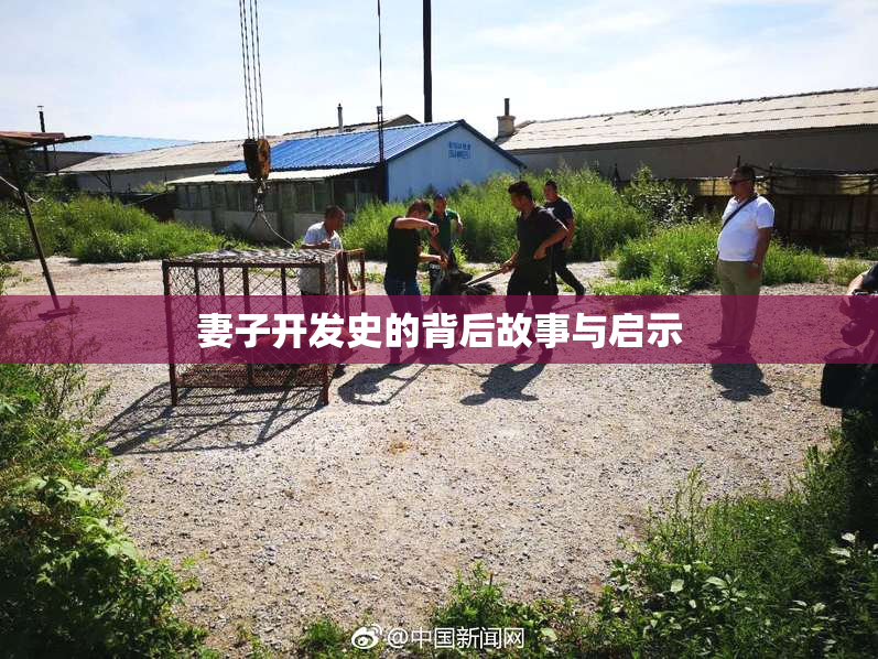 妻子开发史的背后故事与启示