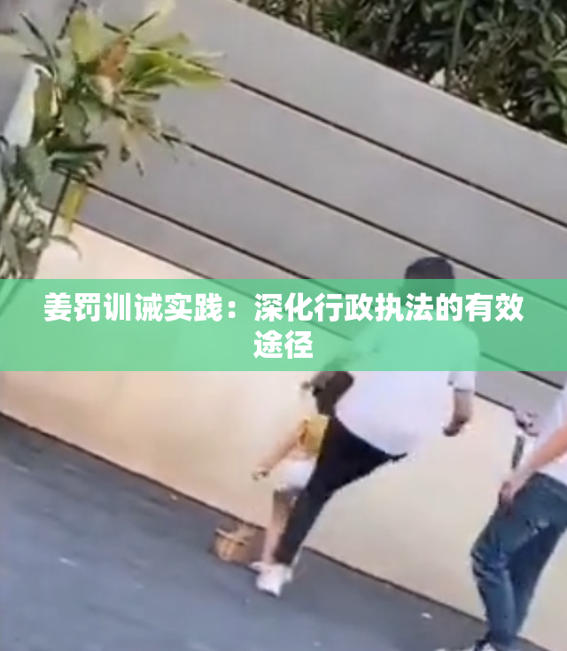 姜罚训诫实践：深化行政执法的有效途径