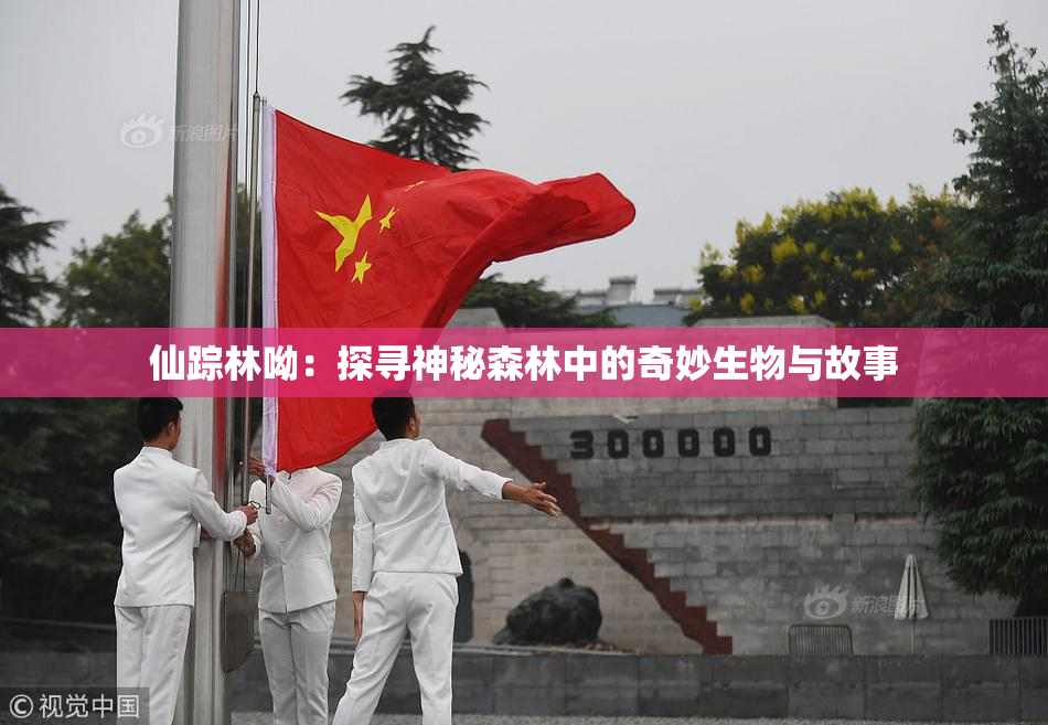 仙踪林呦：探寻神秘森林中的奇妙生物与故事