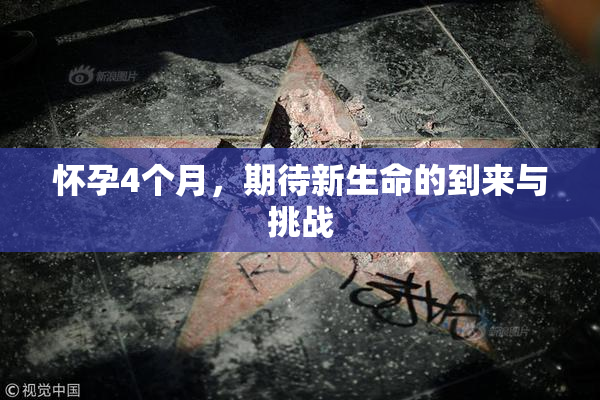 怀孕4个月，期待新生命的到来与挑战