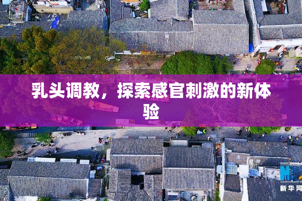 乳头调教，探索感官刺激的新体验