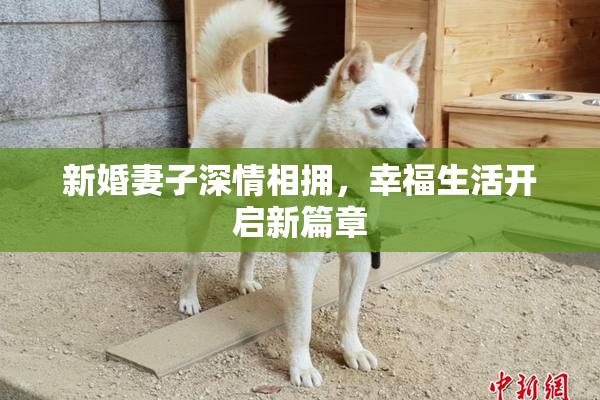 新婚妻子深情相拥，幸福生活开启新篇章