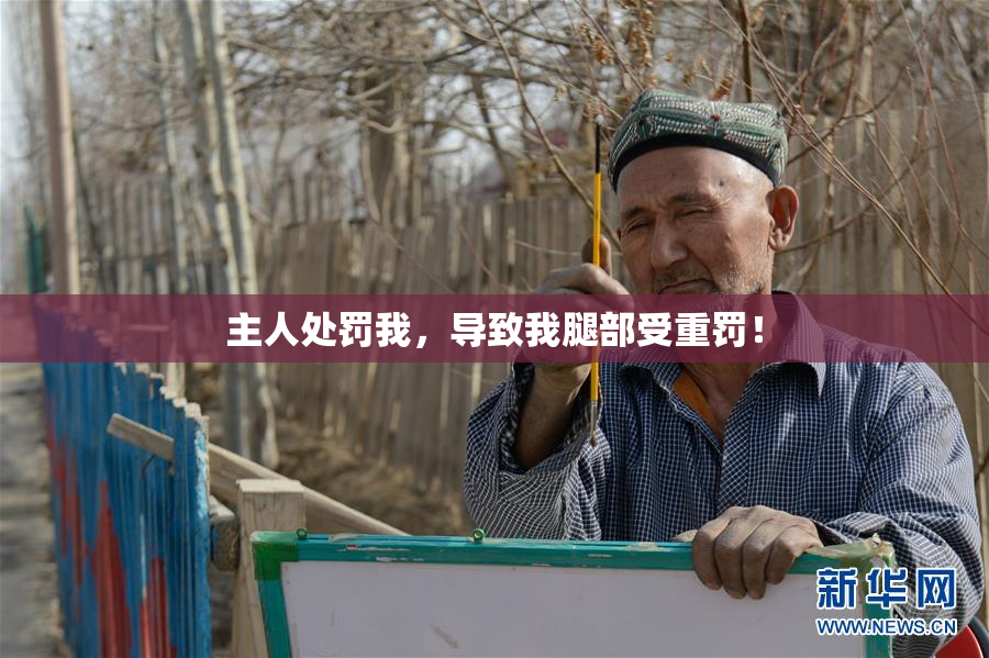 主人处罚我，导致我腿部受重罚！