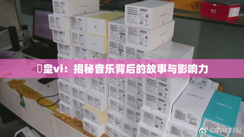 嘼皇vi：揭秘音乐背后的故事与影响力