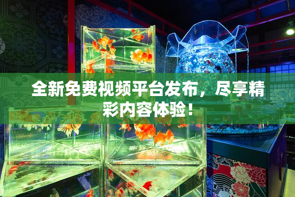全新免费视频平台发布，尽享精彩内容体验！