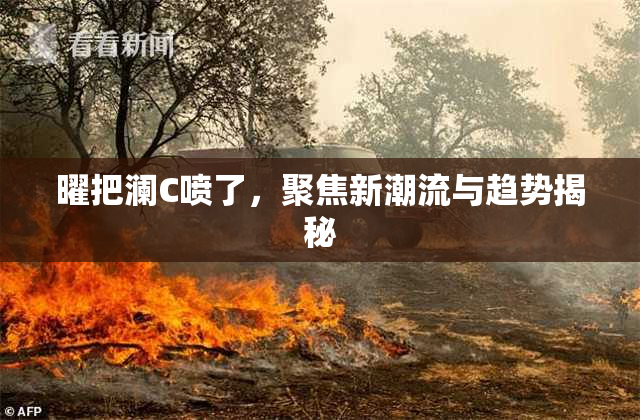 曜把澜C喷了，聚焦新潮流与趋势揭秘