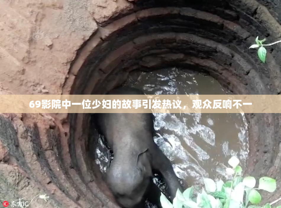 69影院中一位少妇的故事引发热议，观众反响不一