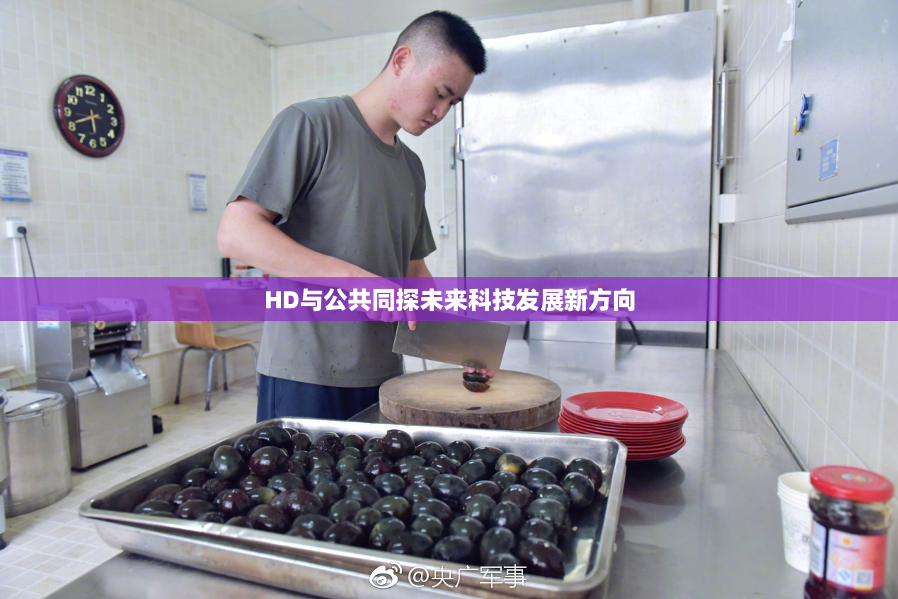 HD与公共同探未来科技发展新方向