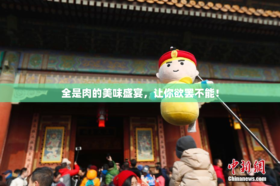 全是肉的美味盛宴，让你欲罢不能！