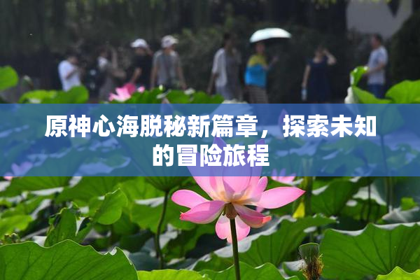 原神心海脱秘新篇章，探索未知的冒险旅程