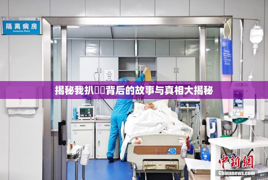 揭秘我扒妺妺背后的故事与真相大揭秘