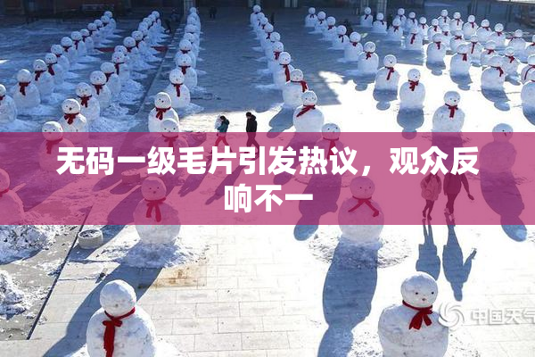 无码一级毛片引发热议，观众反响不一