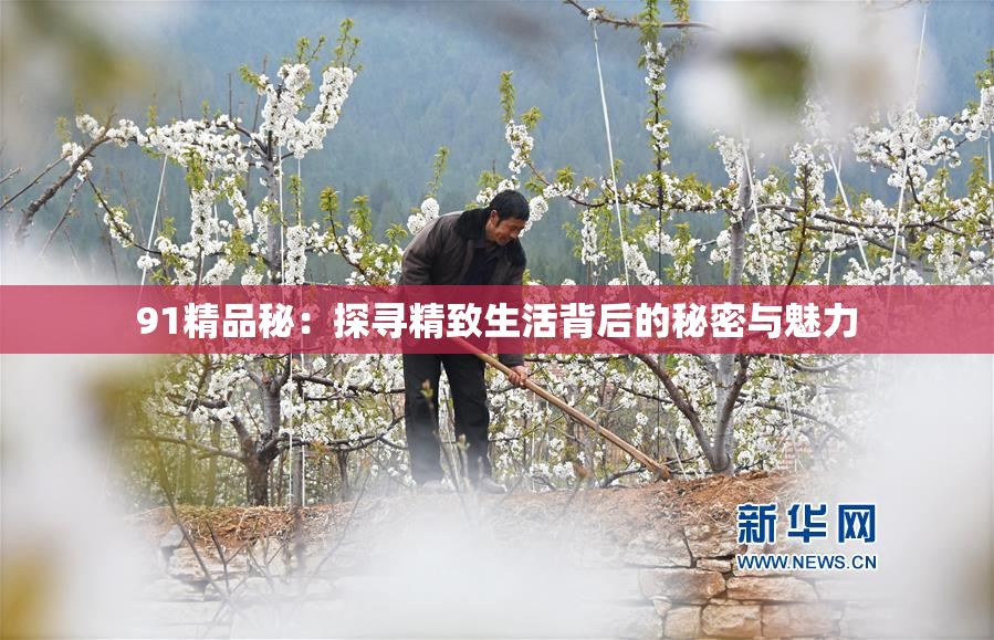 91精品秘：探寻精致生活背后的秘密与魅力