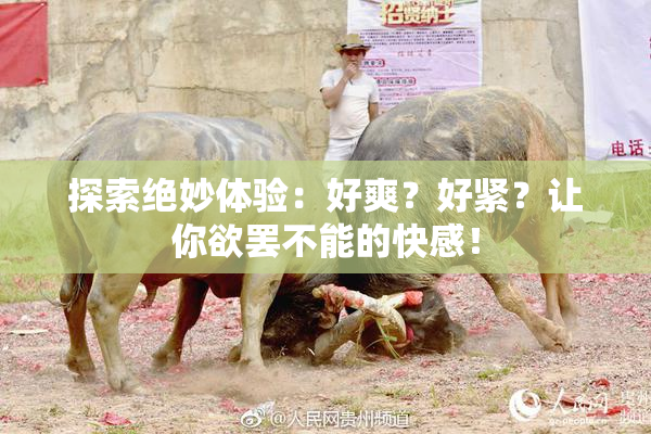 探索绝妙体验：好爽？好紧？让你欲罢不能的快感！