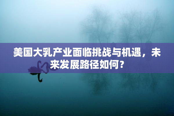 美国大乳产业面临挑战与机遇，未来发展路径如何？