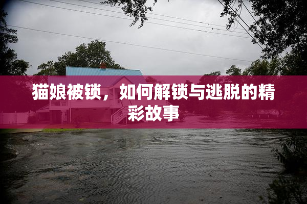 猫娘被锁，如何解锁与逃脱的精彩故事